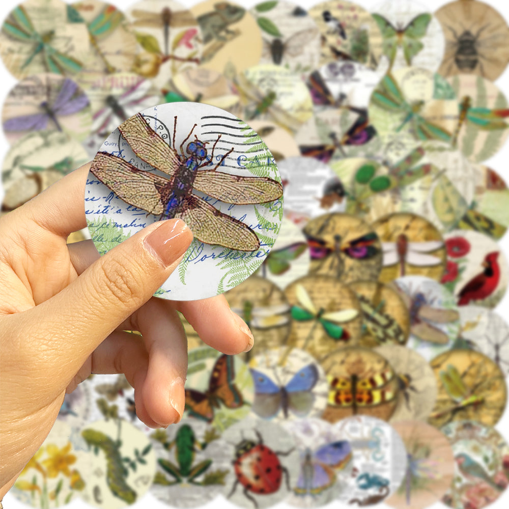 58pcs Insect Specimens Stickers Butterflies Bees
