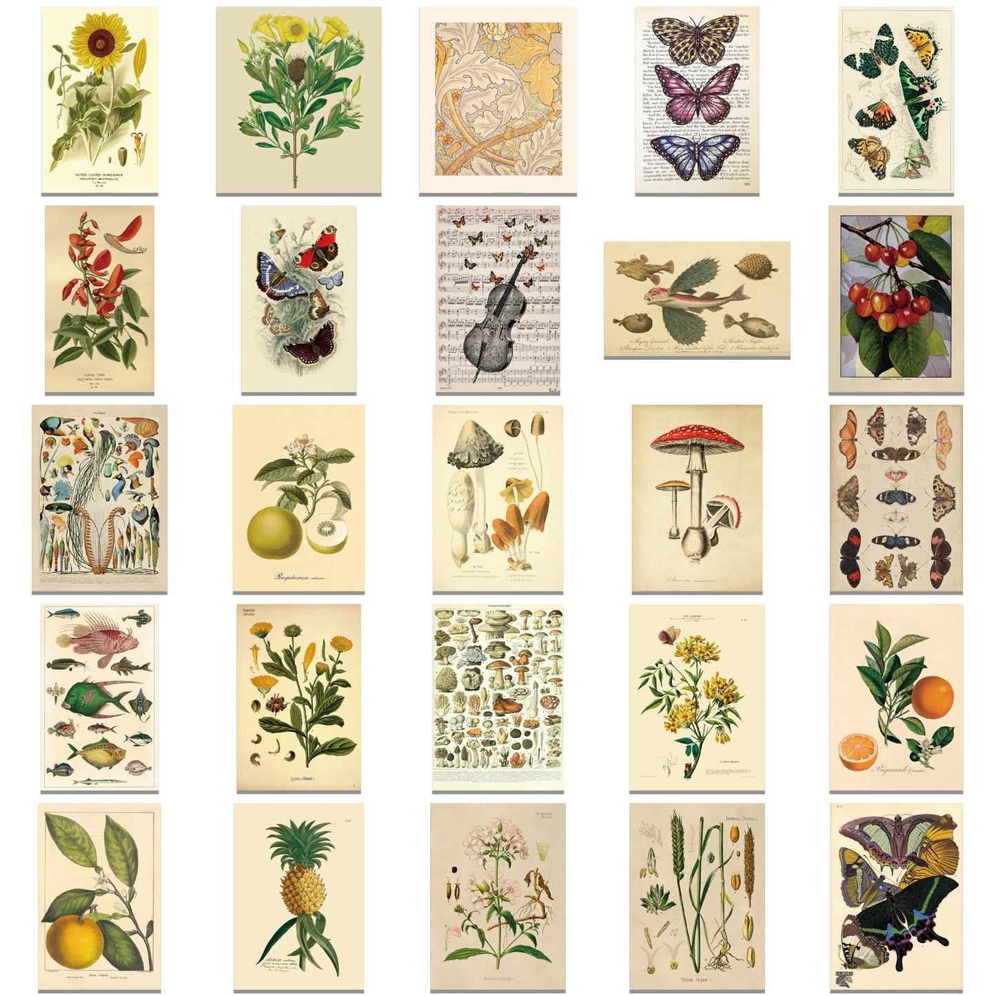 50pcs Retro Style Plants Fungi Mushroom Butterfly Stickers