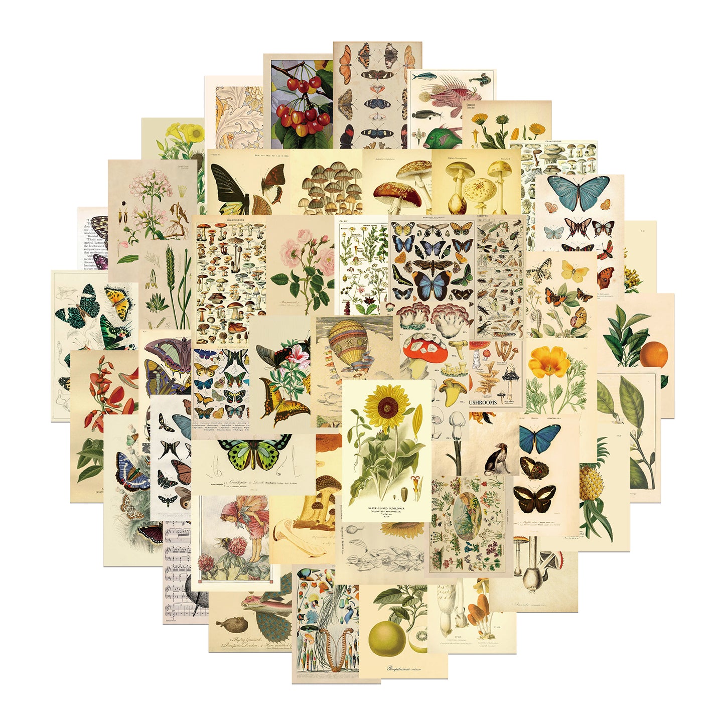 50pcs Retro Style Plants Fungi Mushroom Butterfly Stickers