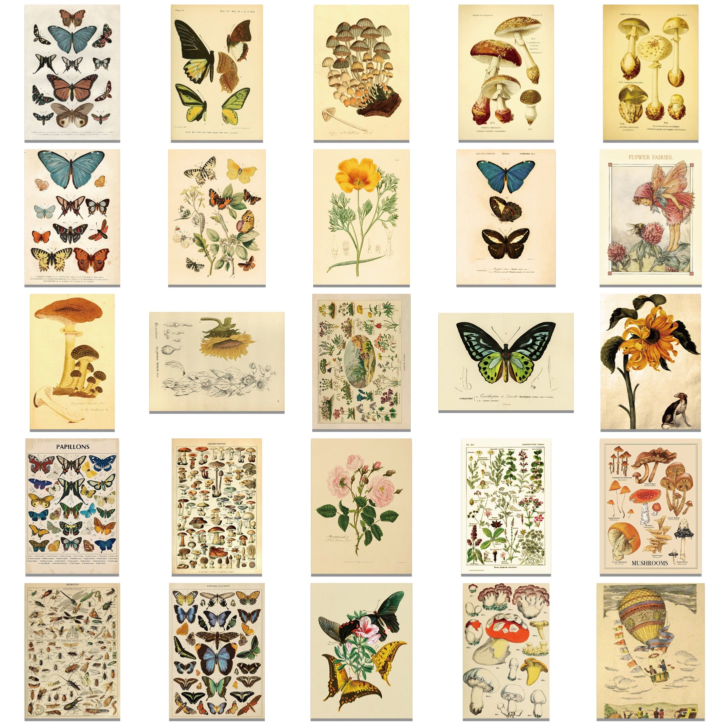 50pcs Retro Style Plants Fungi Mushroom Butterfly Stickers