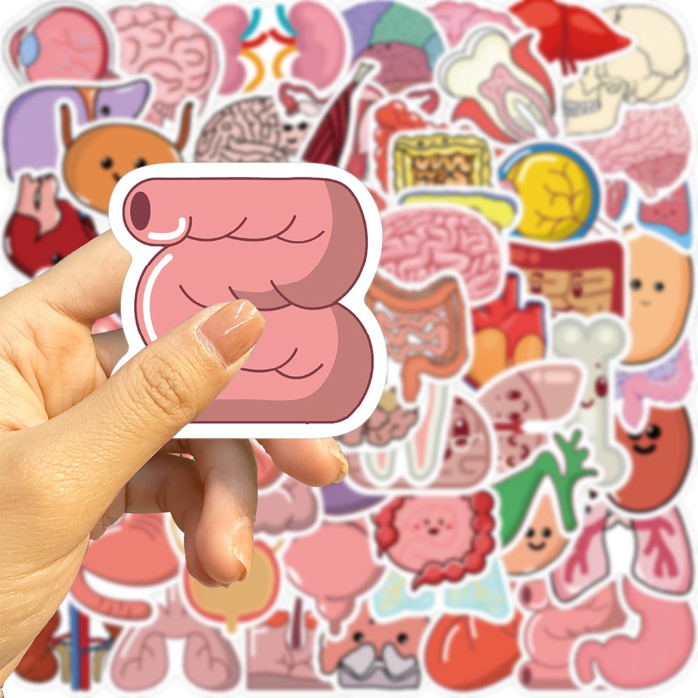 65pcs Cartoon Organ Stickers Ergonomics Lungs
