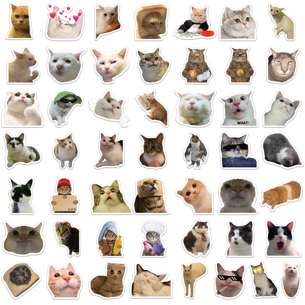 50pcs Cats Photo Stickers