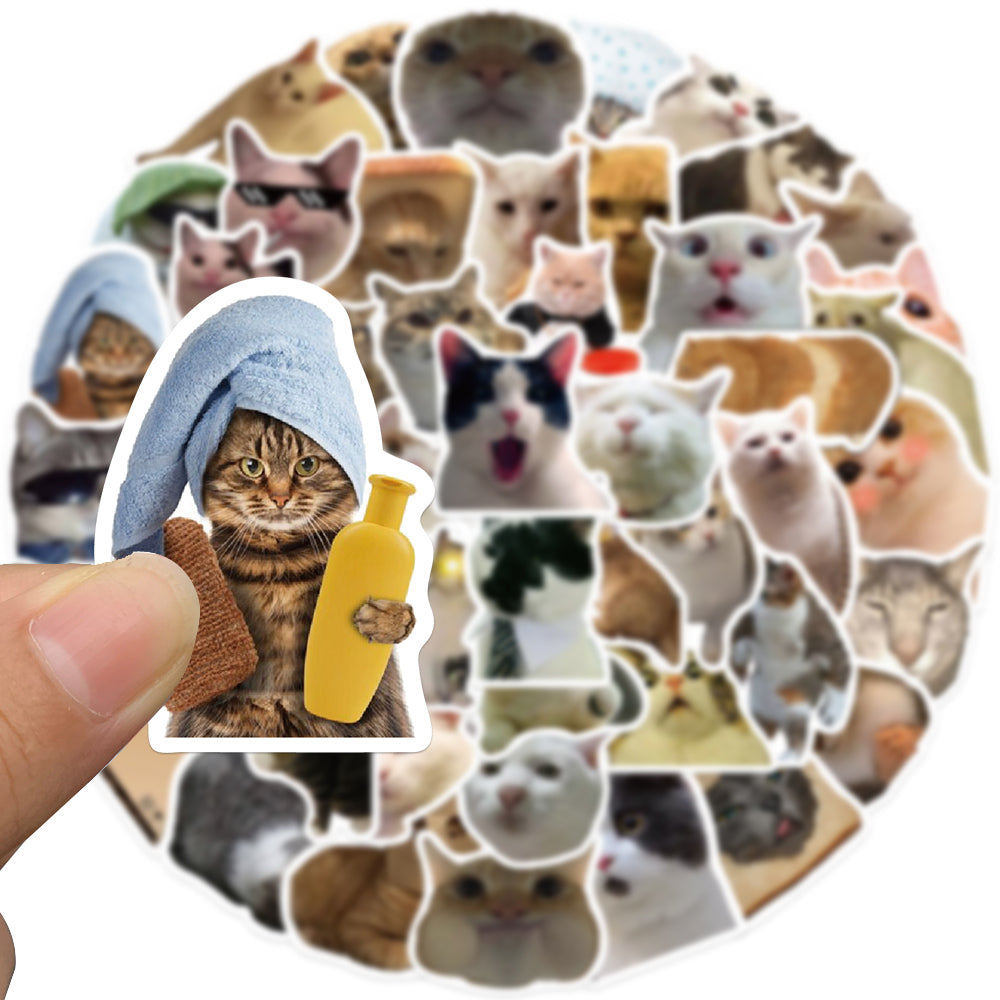 50pcs Cats Photo Stickers