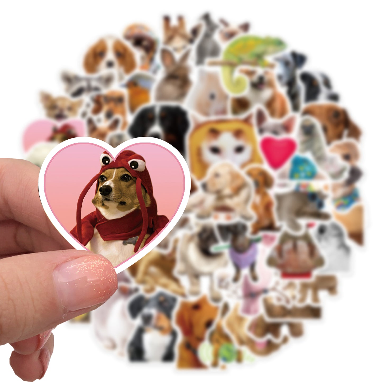 52pcs Animals Photo Stickers