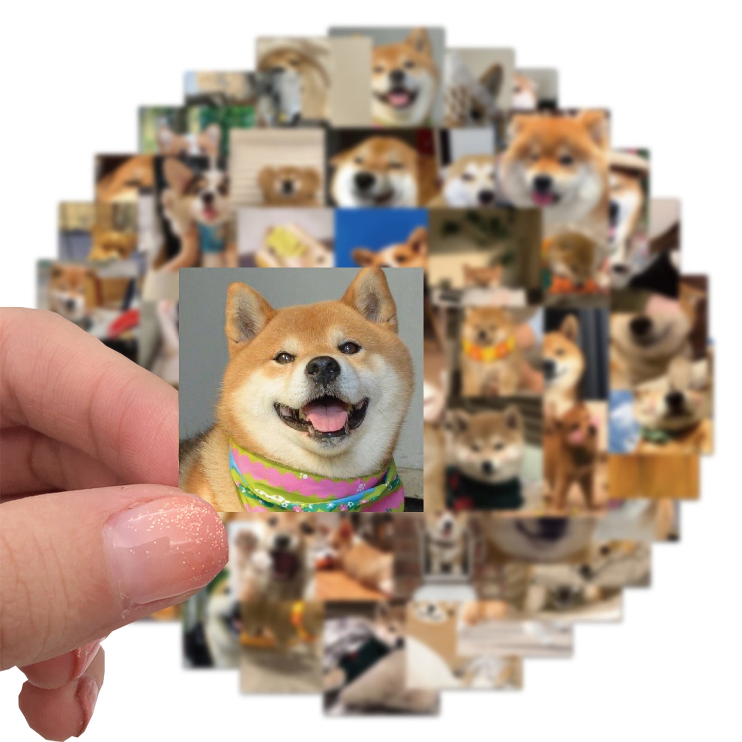 55pcs Corgi Shiba Inu Stickers