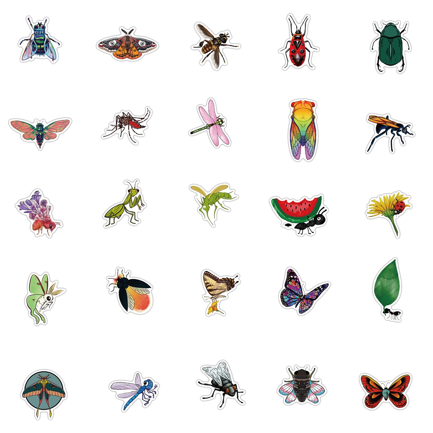 50pcs Insect Dragonflies Snail Stickers