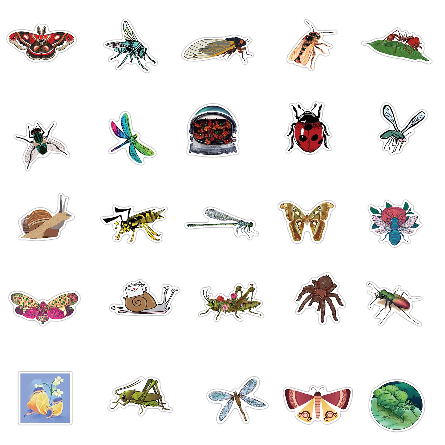 50pcs Insect Dragonflies Snail Stickers