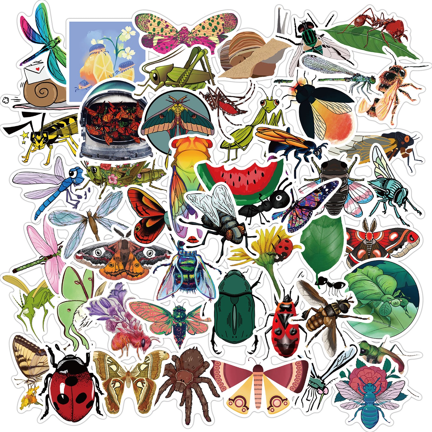 50pcs Insect Dragonflies Snail Stickers