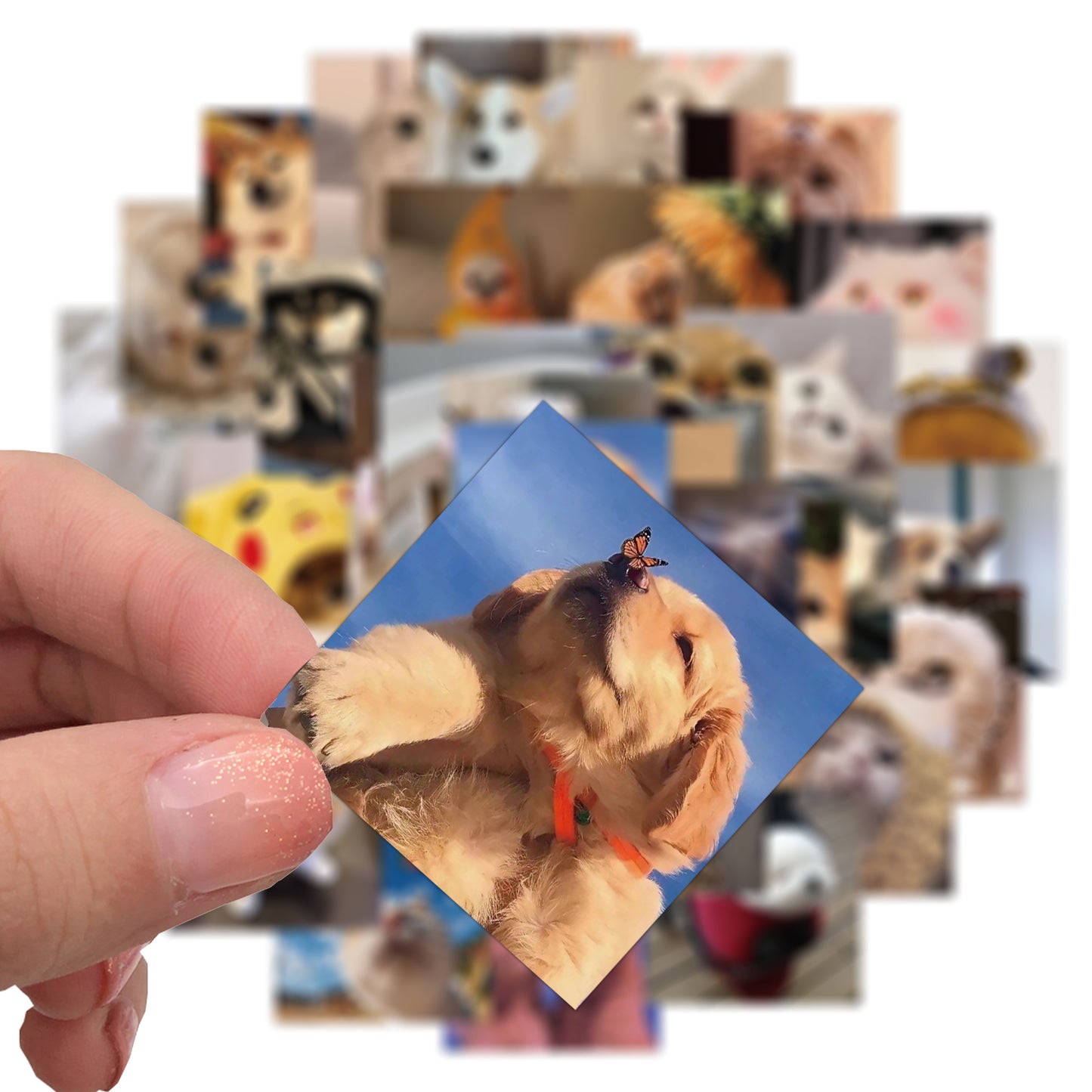 48pcs Cat Dog Face Emoji Cute Animals Stickers