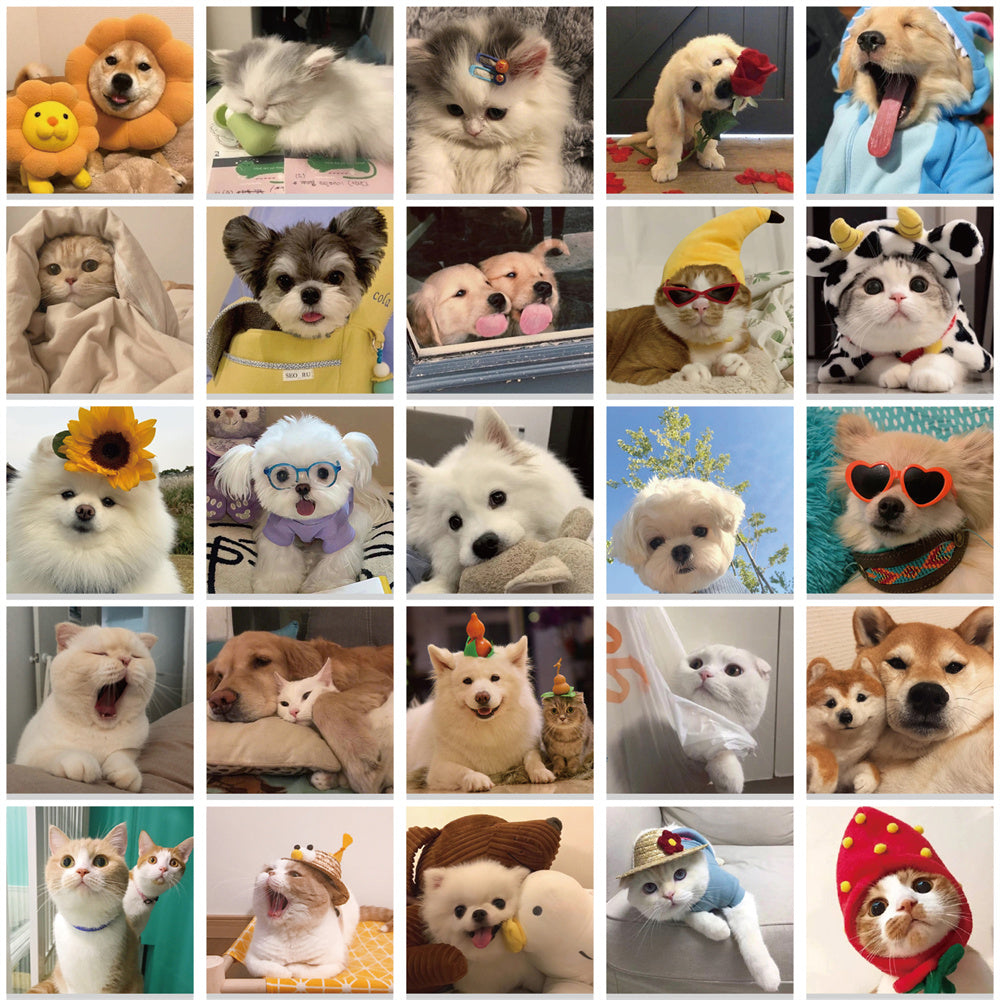 52pcs Dogs Cats Cute Animals Photo Stickers