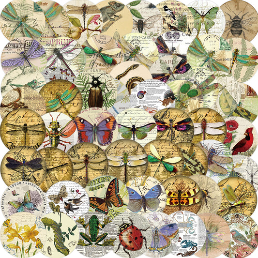 58pcs Insect Specimens Stickers Butterflies Bees