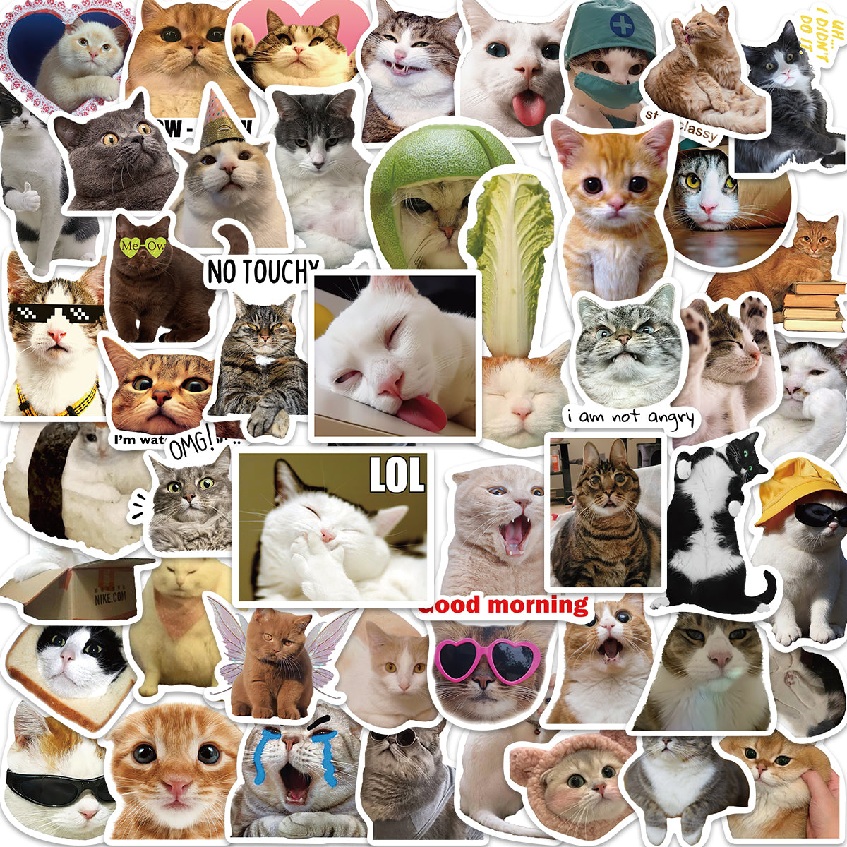 50pcs Cat Emoji Stickers Cute Animals