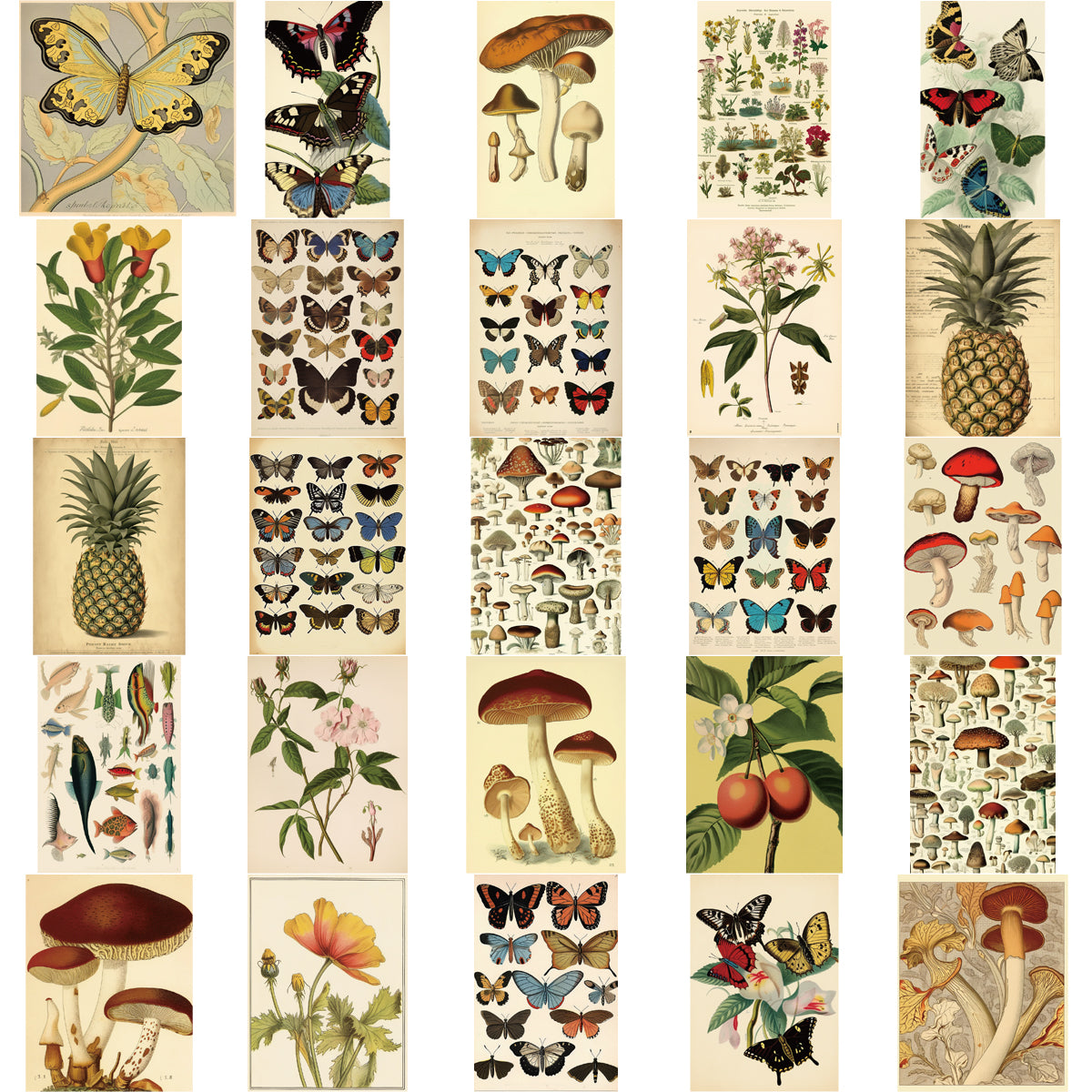 50pcs Vintage Plant Pineapple Butterfly Stickers