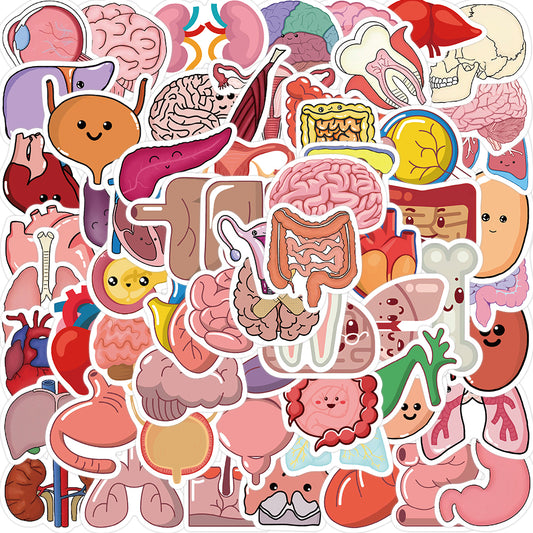 65pcs Cartoon Organ Stickers Ergonomics Lungs