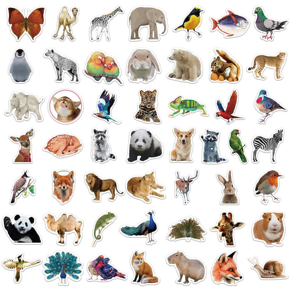 50pcs Animal Photos Rabbit Bear Stickers