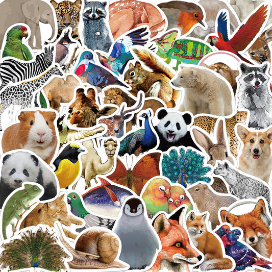 50pcs Animal Photos Rabbit Bear Stickers