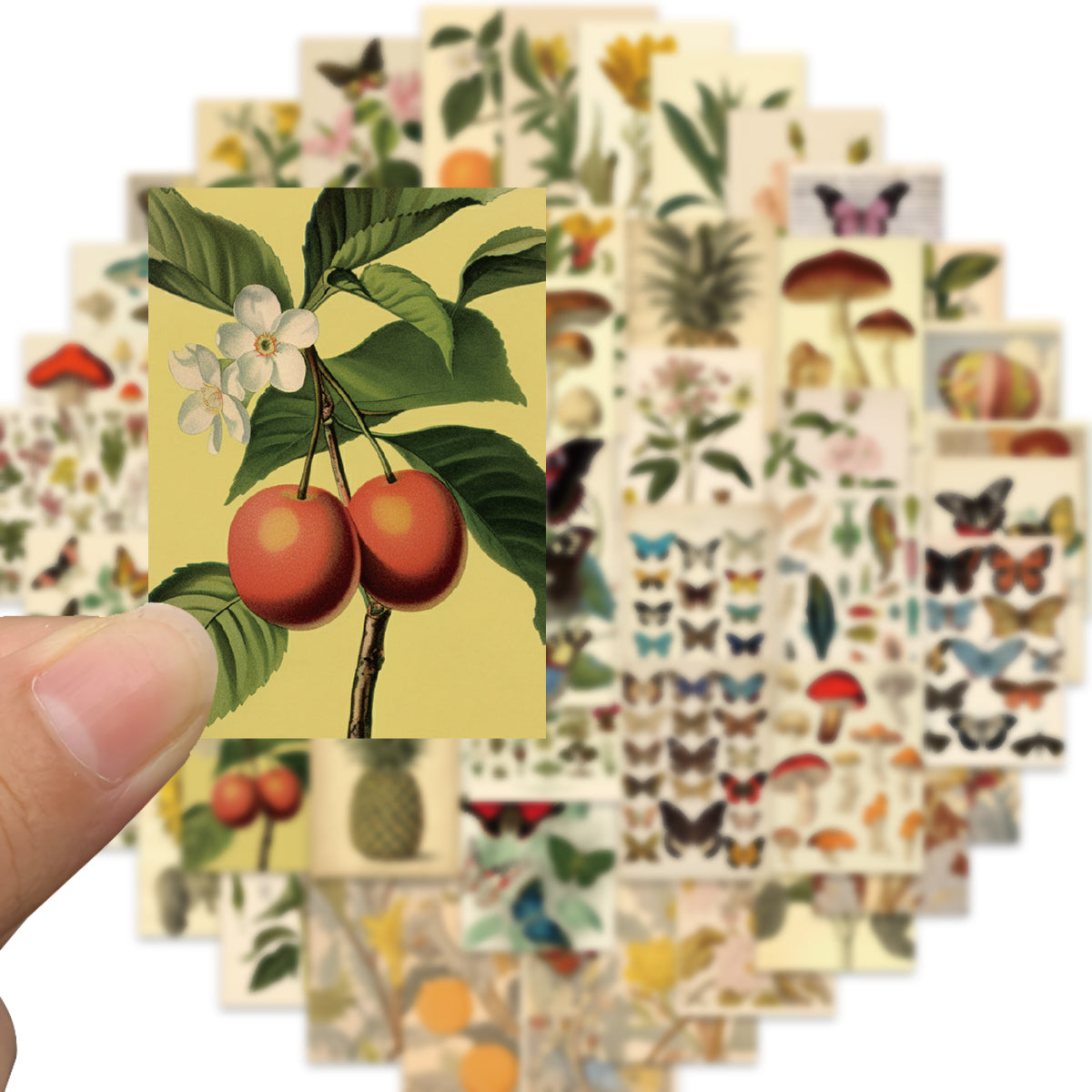 50pcs Vintage Plant Pineapple Butterfly Stickers