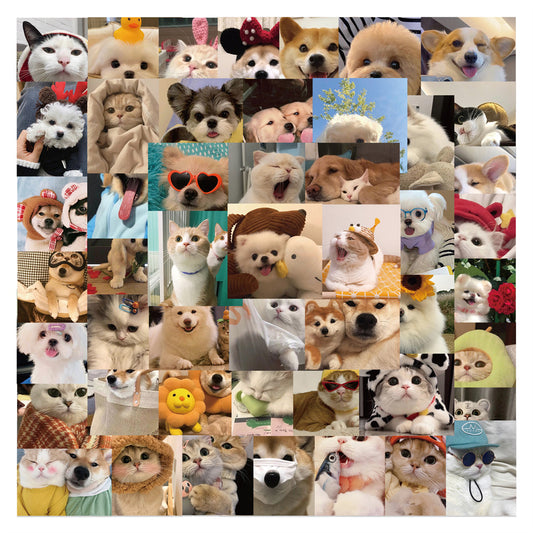 52pcs Dogs Cats Cute Animals Photo Stickers