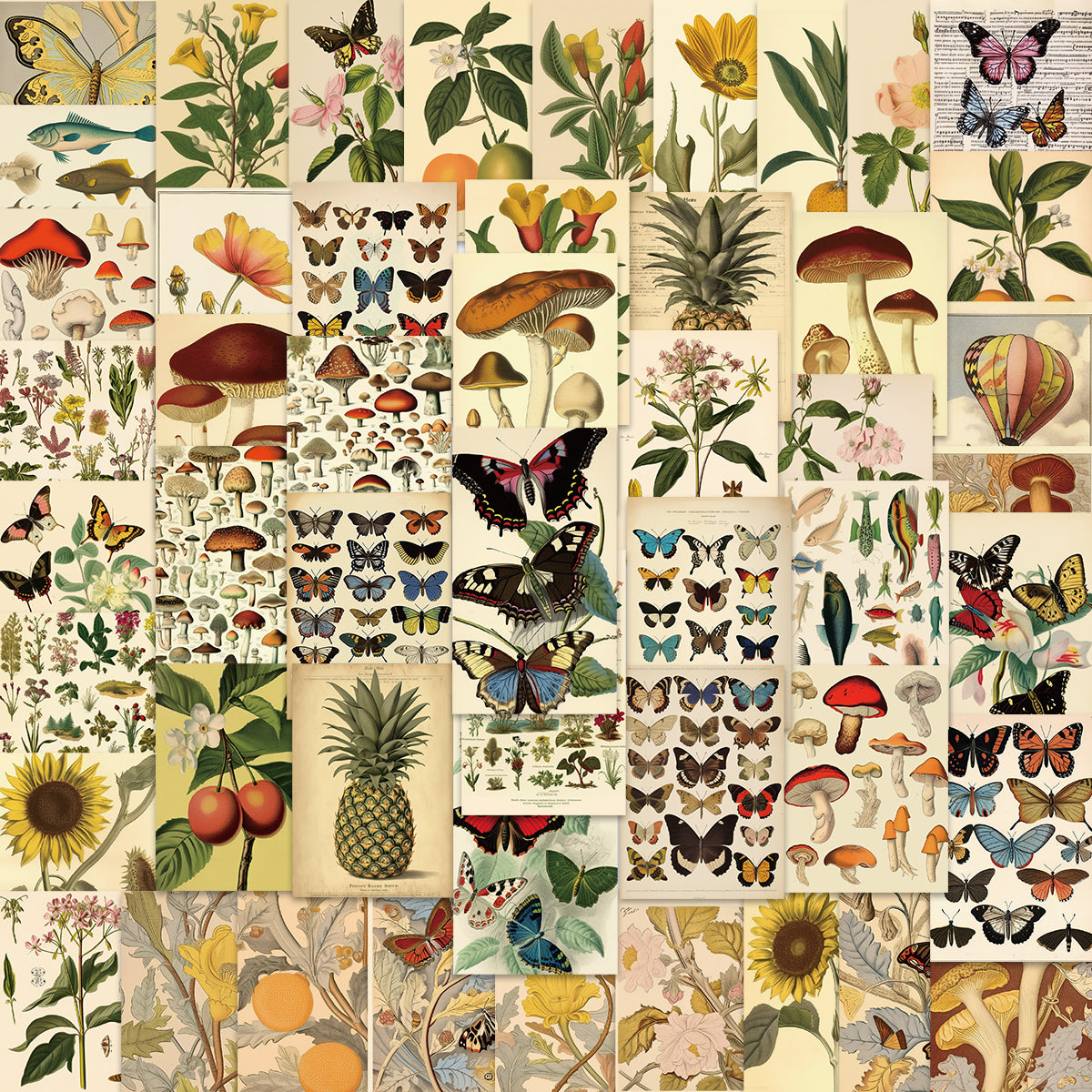 50pcs Vintage Plant Pineapple Butterfly Stickers