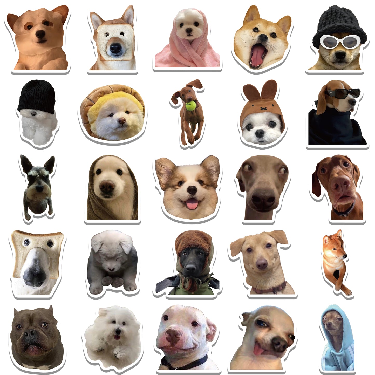 50pcs Dog Memes Stickers Cute Animals Funny Emoji