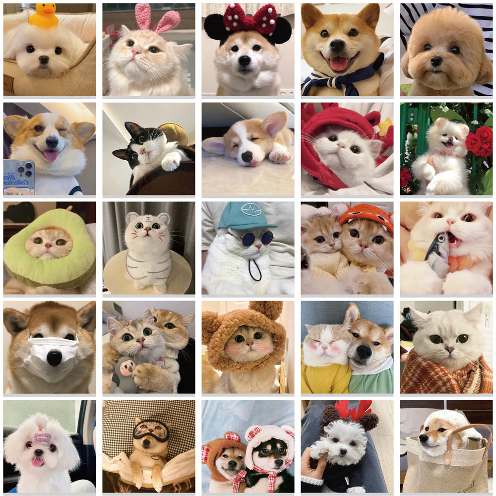 52pcs Dogs Cats Cute Animals Photo Stickers