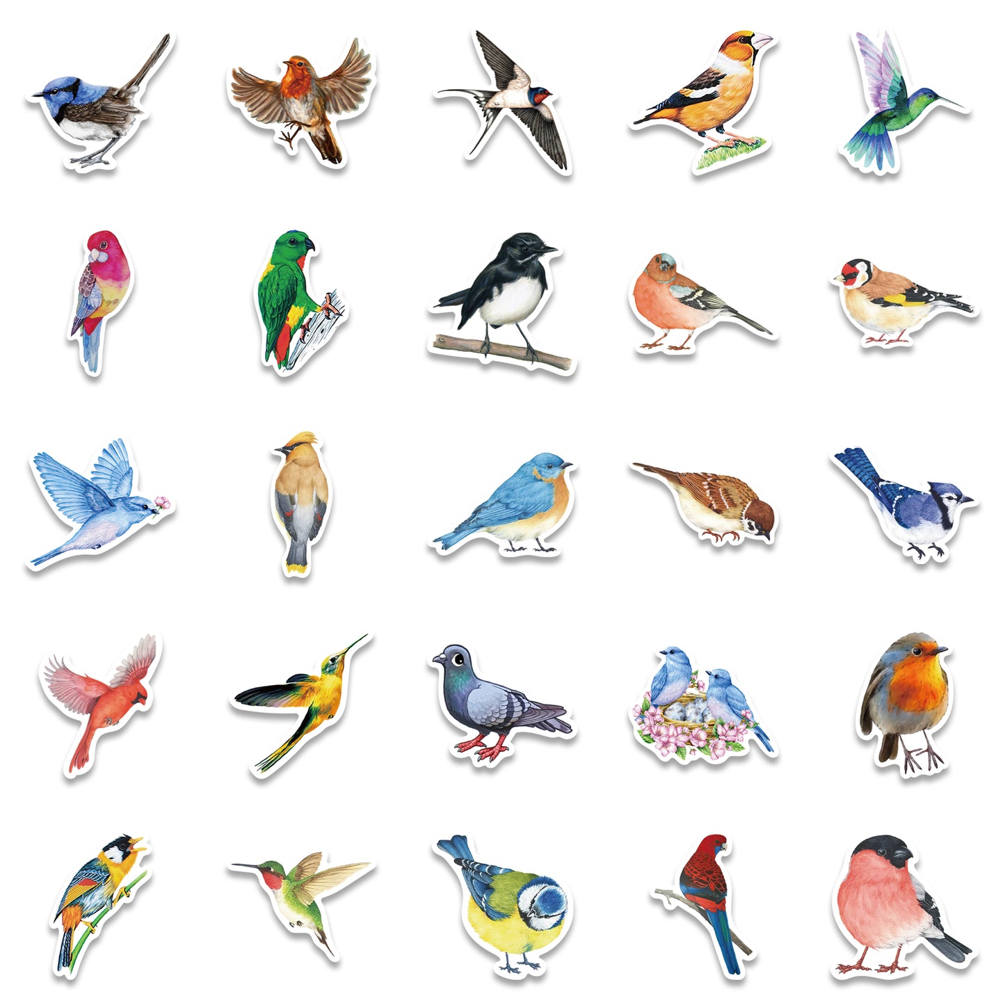 50pcs Birds Stickers