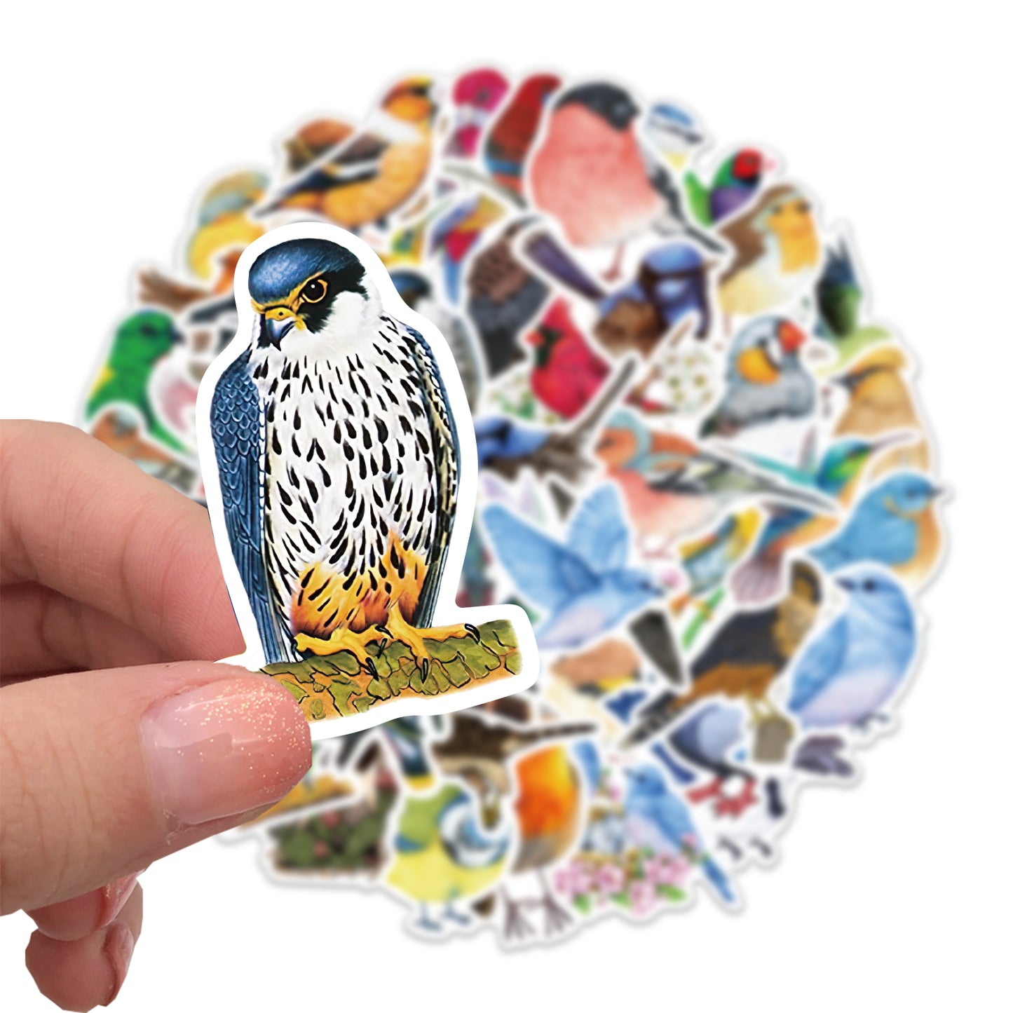 50pcs Birds Stickers