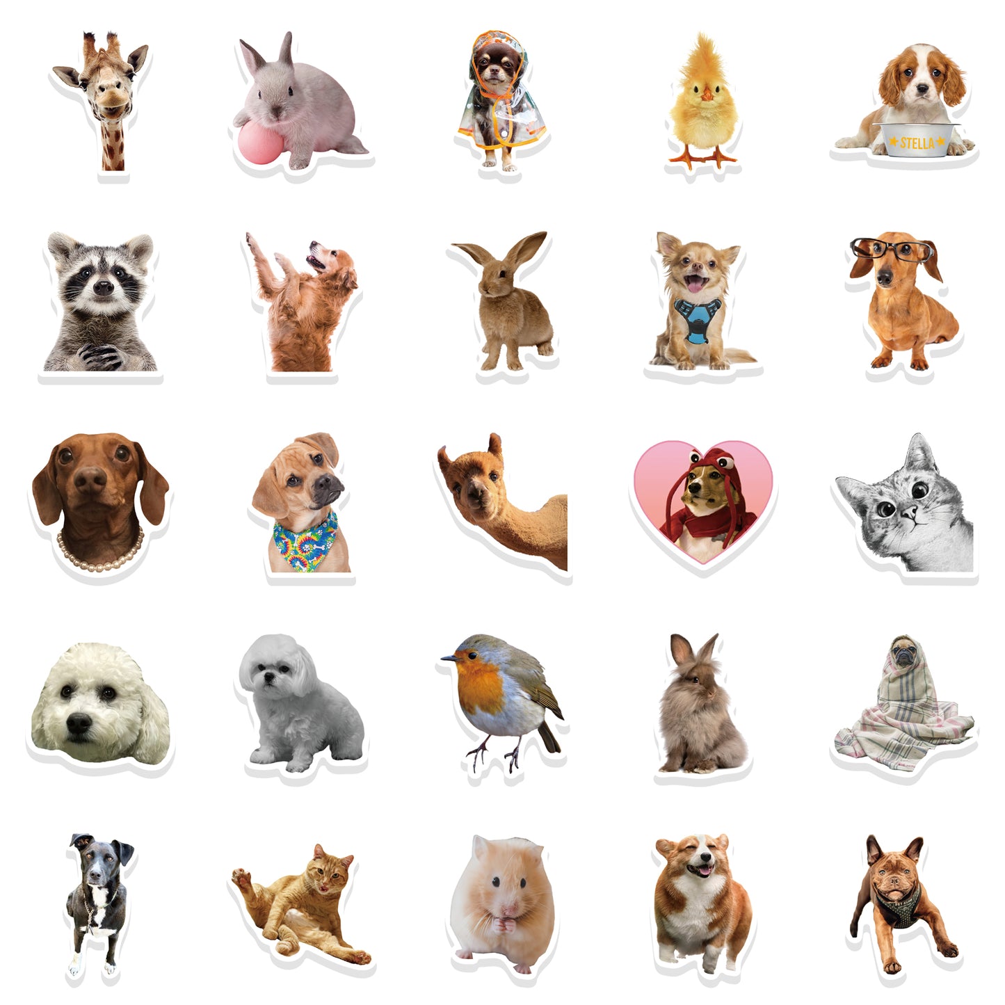 52pcs Animals Photo Stickers