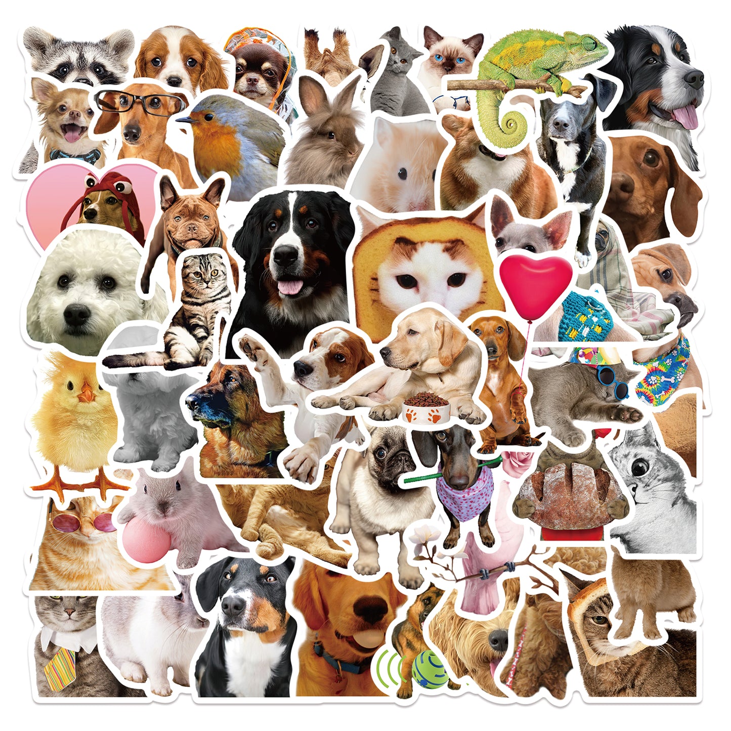 52pcs Animals Photo Stickers