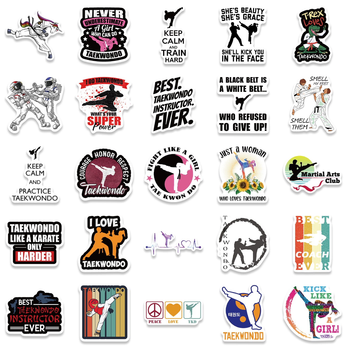 50pcs Taekwondo Stickers