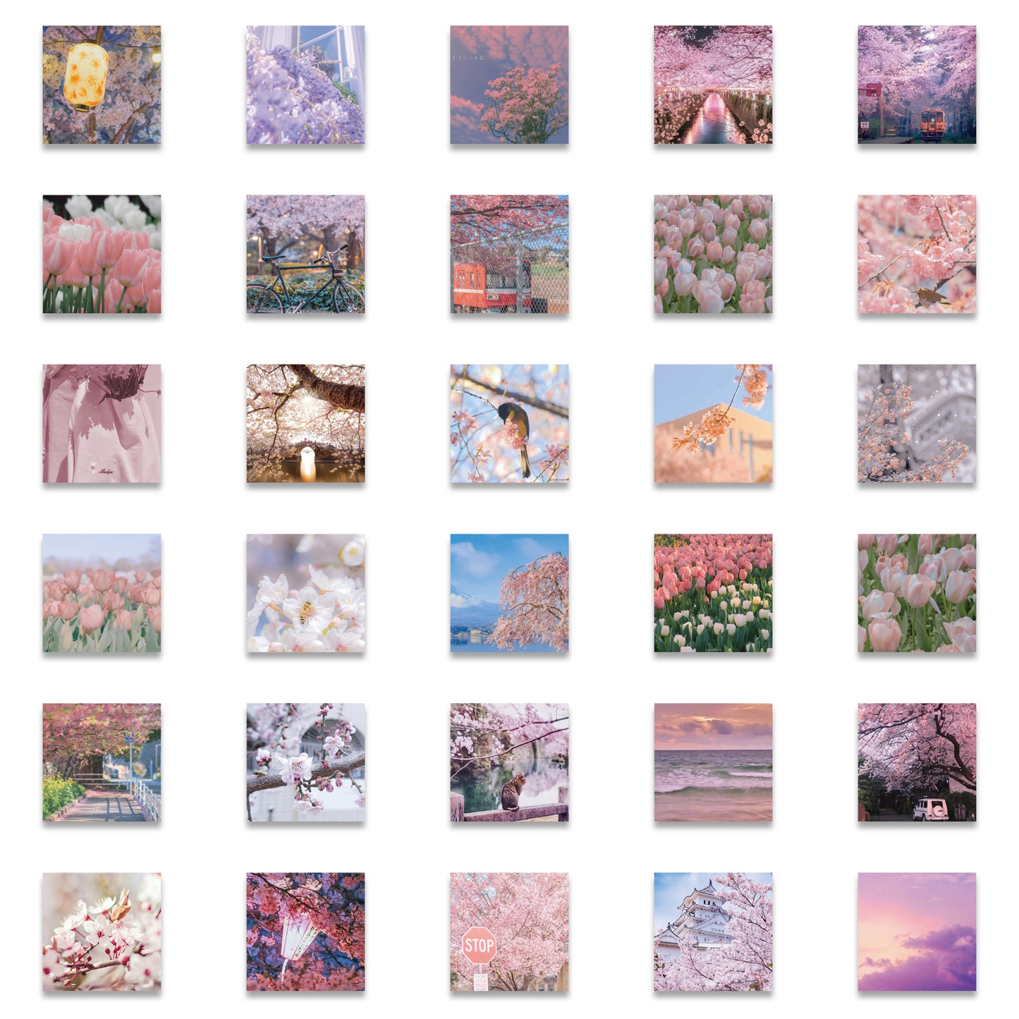 50pcs Spring Flowers Stickers