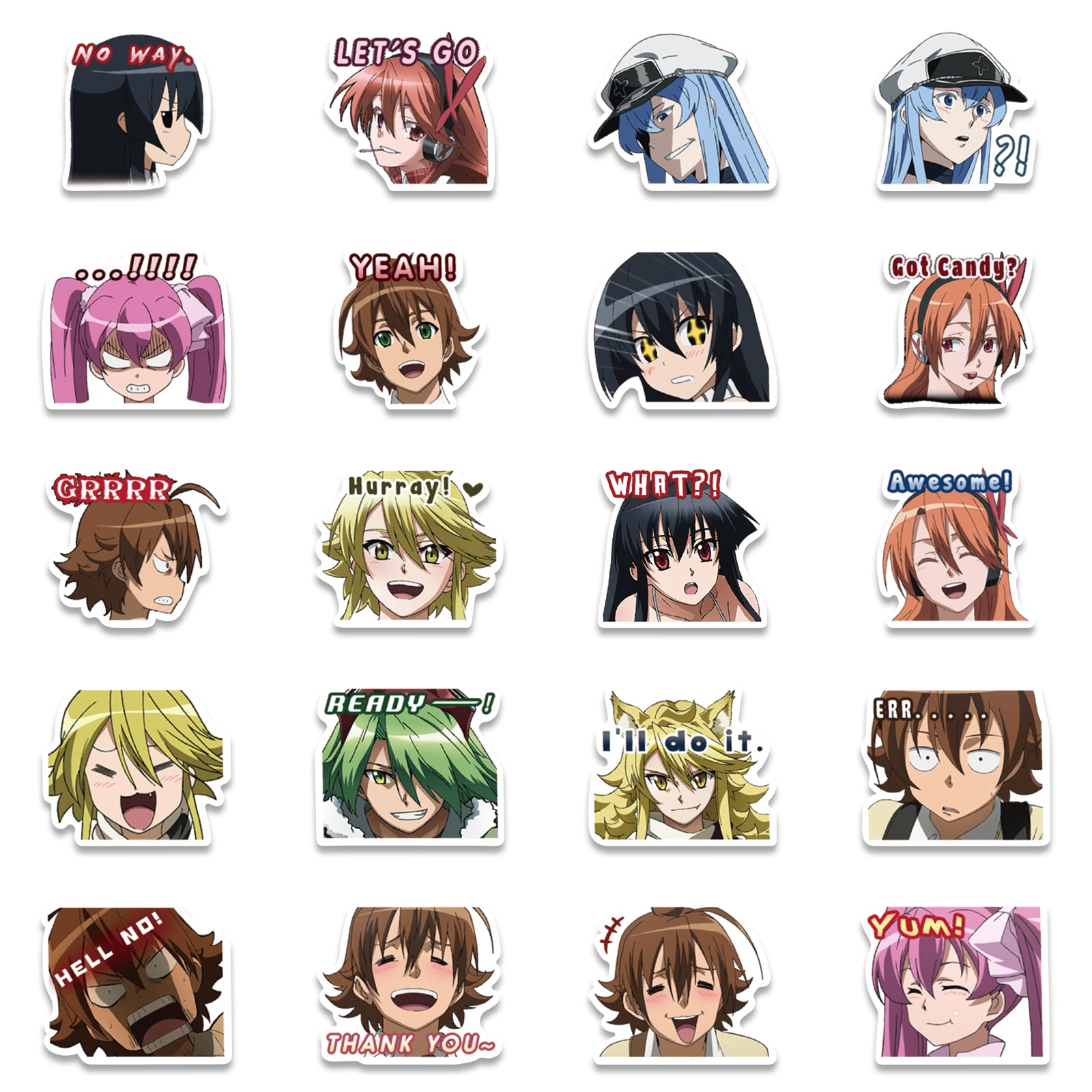 40pcs Akame ga Kill! Stickers – AU Sticker World