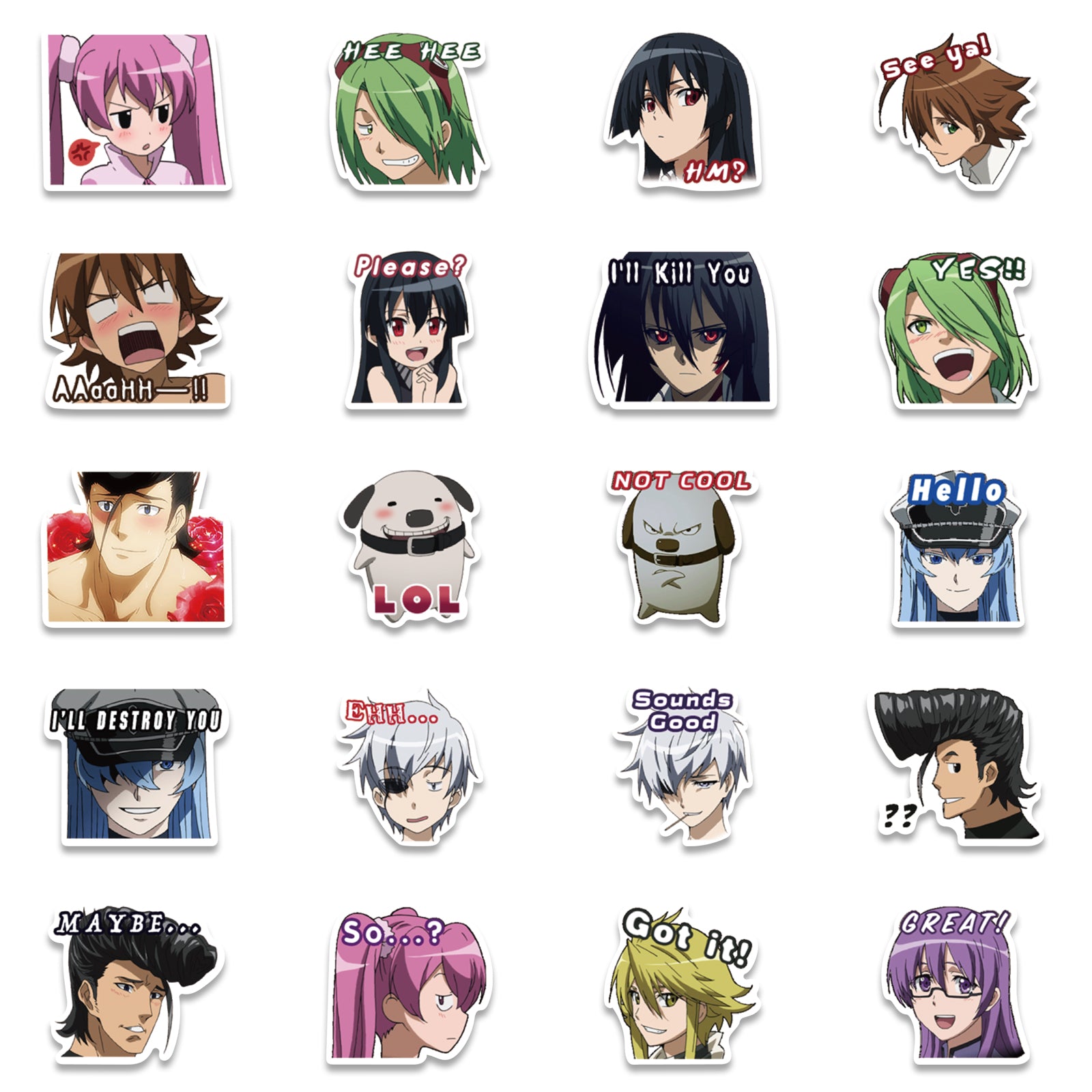40pcs Akame ga Kill! Stickers – AU Sticker World