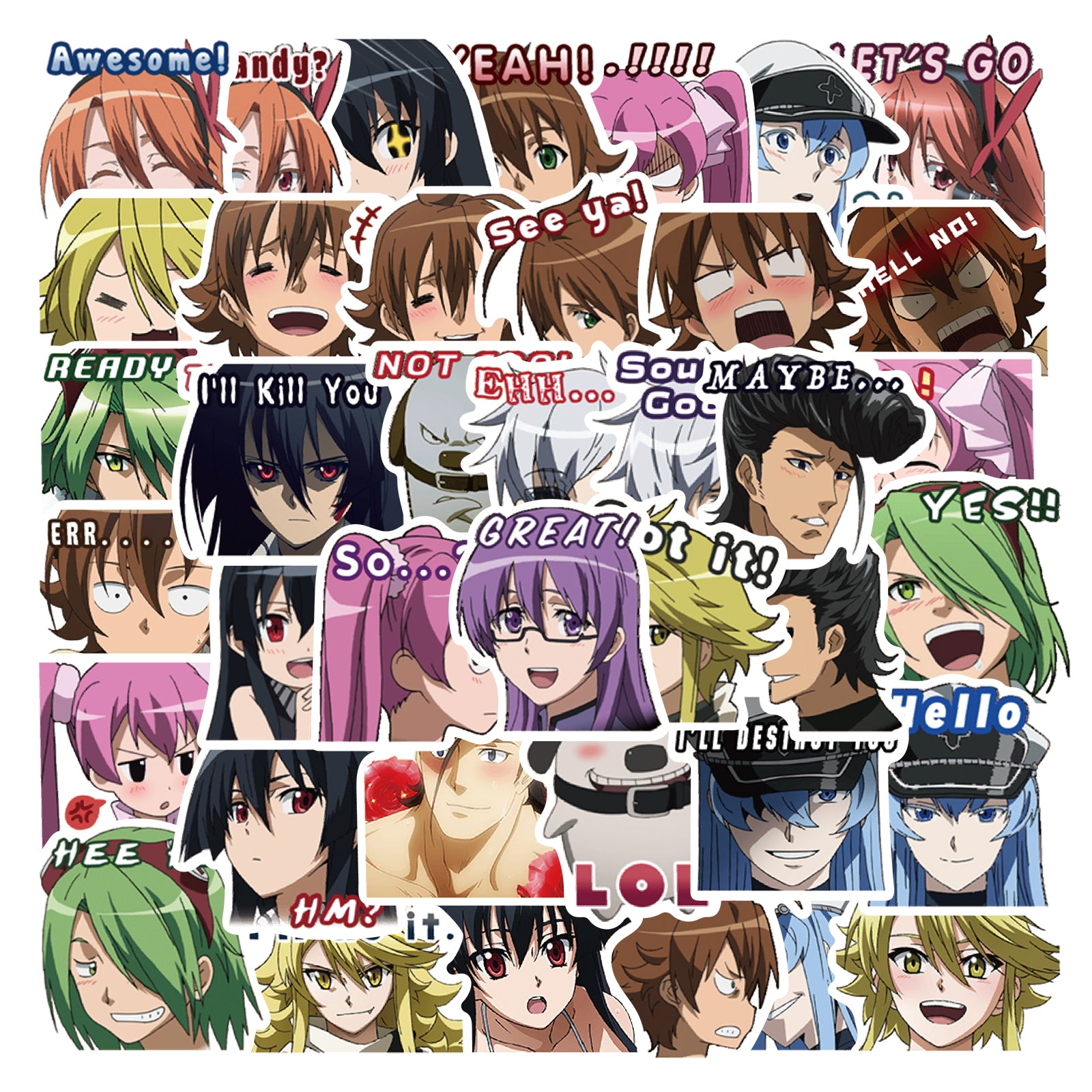 40pcs Akame ga Kill! Stickers – AU Sticker World