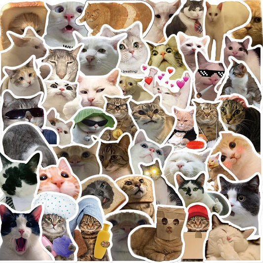 50pcs Cats Photo Stickers