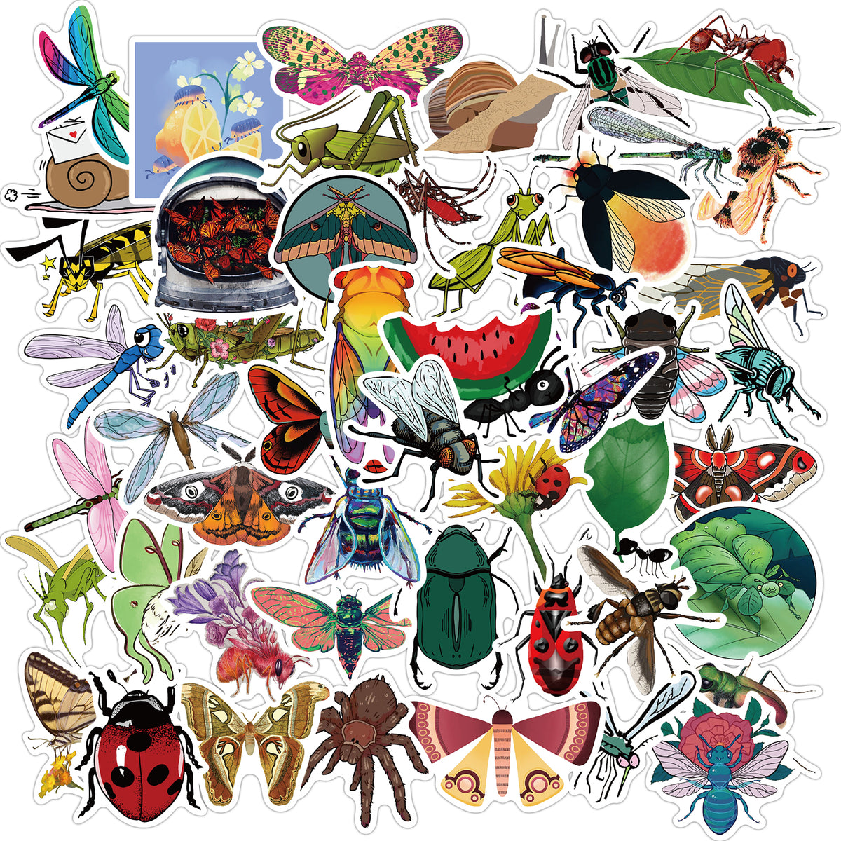 Insectoutline Stickers 50pcs Insect Stickers – AU Sticker World